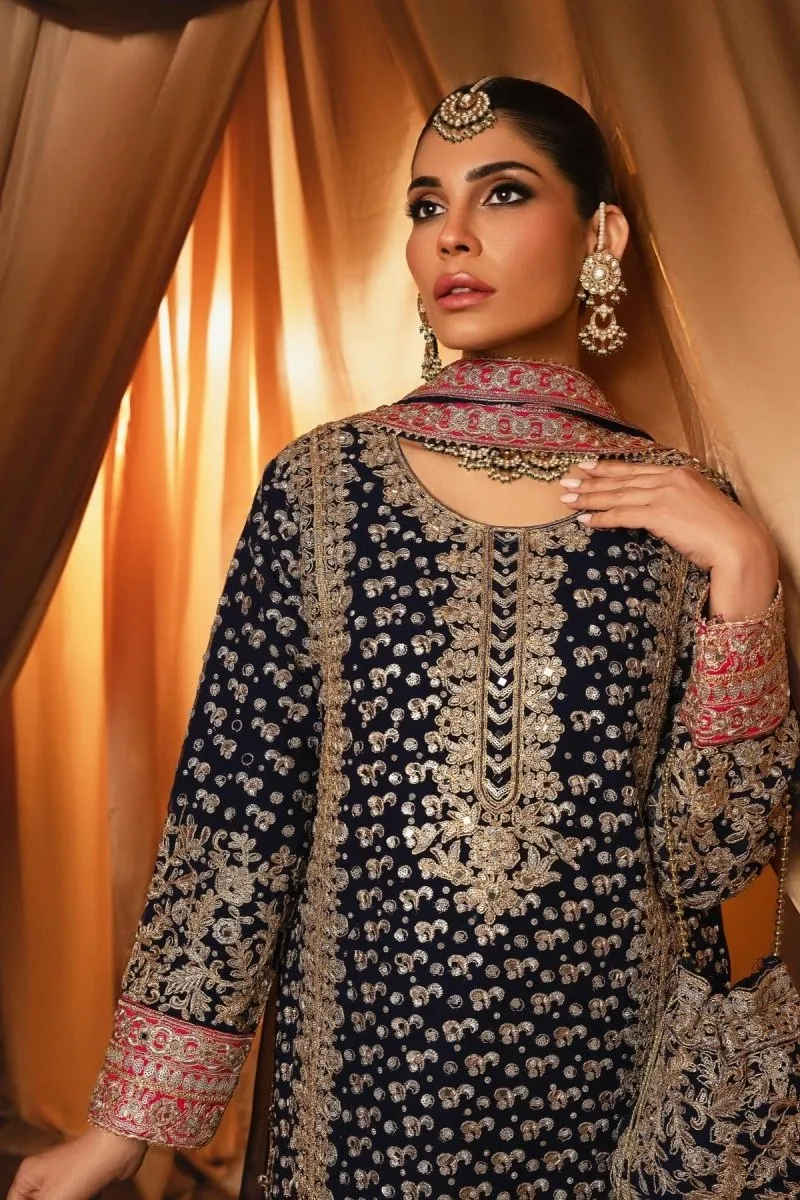 Haseens Raina Pakistani Wedding Wear Chiffon Suit HAS11