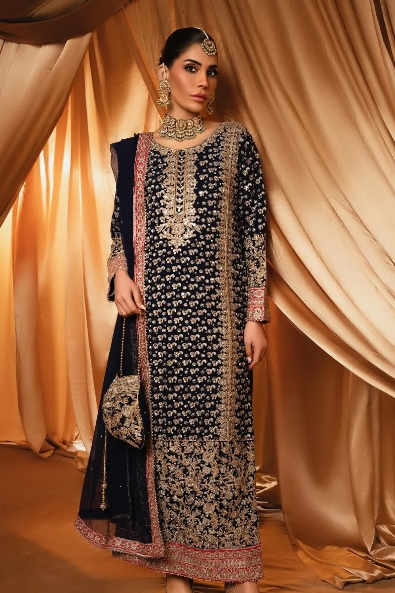 Haseens Raina Pakistani Wedding Wear Chiffon Suit HAS11